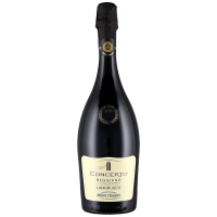 Медичи Ермете Кончерто Ламбруско сухо БИО 11.5%, 0.75 л
