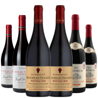 Божоле Нуво Вилаж 2025 - микс от 3 етикета по 2 бутилки