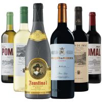 Микс кашон 6 бутилки VIVA RIOJA!