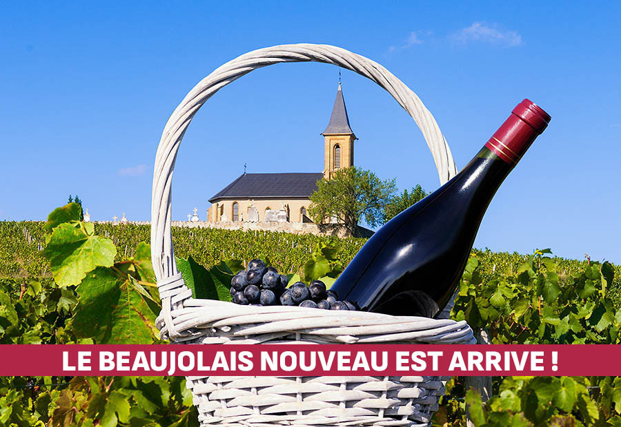 Beaujolais nouveau 