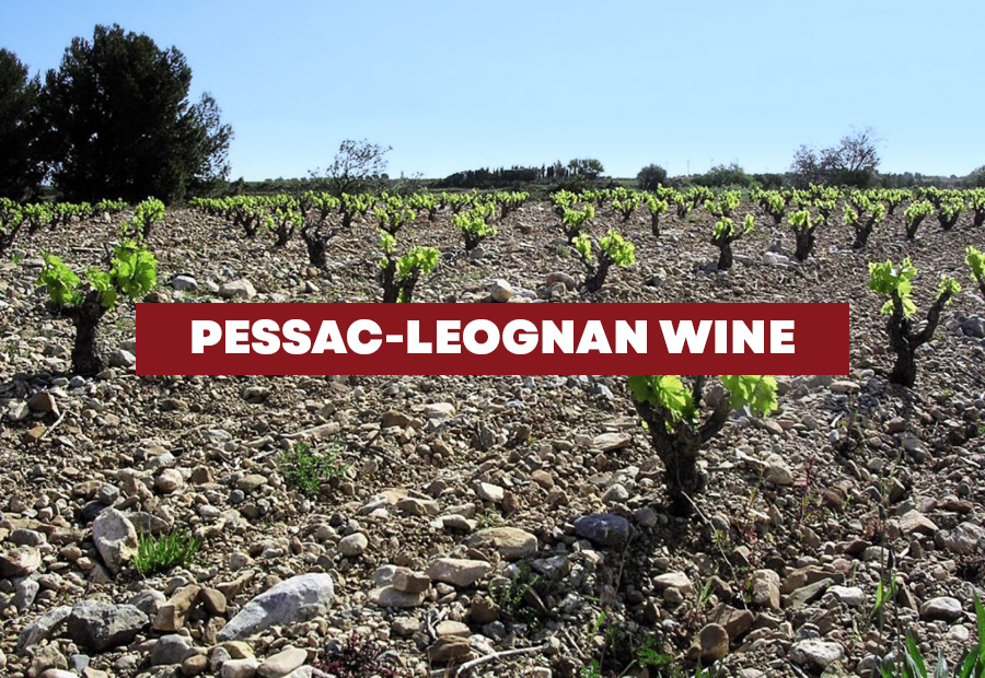 Pessac-Leognan Wine